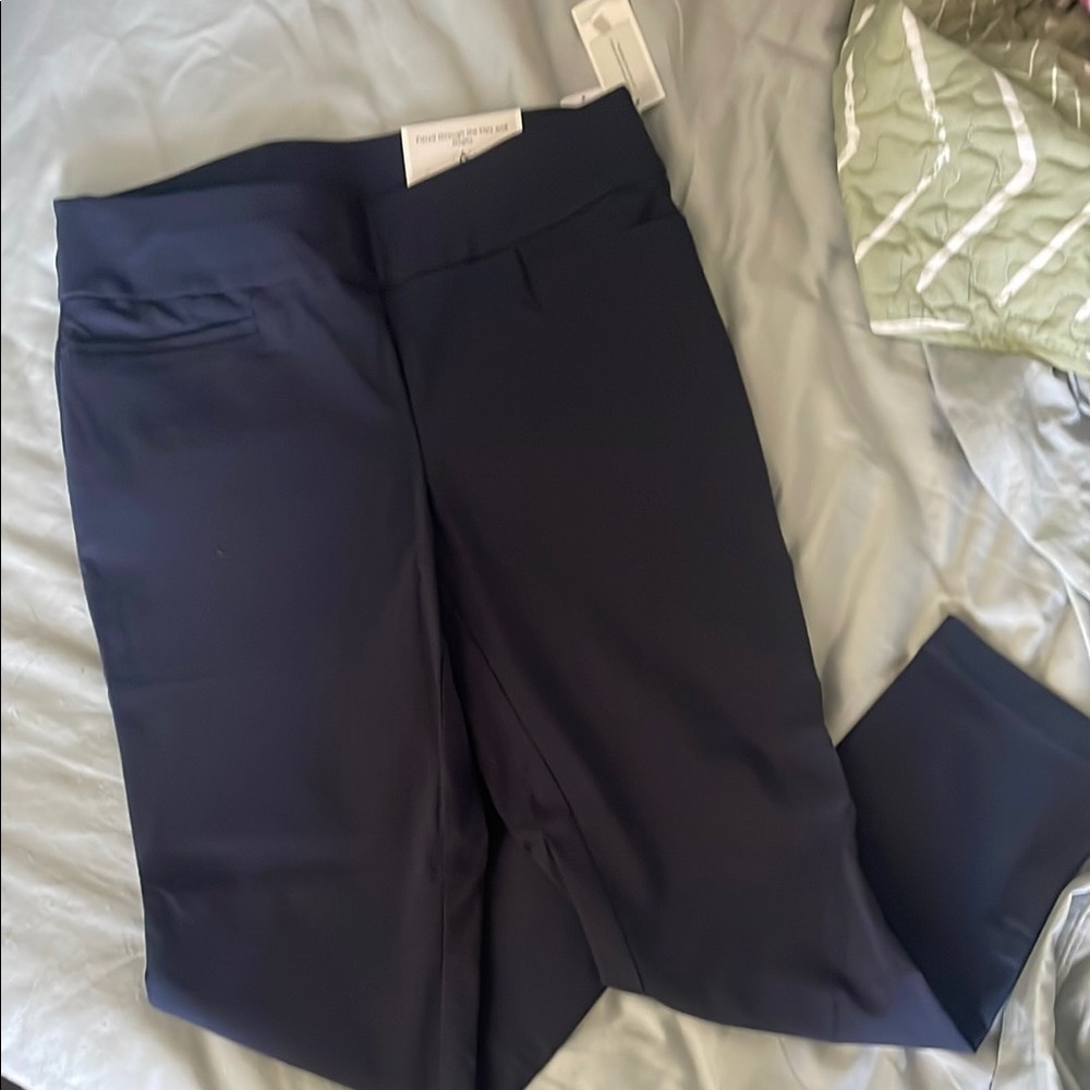 Christopher & Banks Blue Cropped Ankle Pants